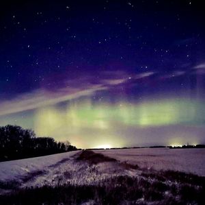 Meet your Posher, Shawna